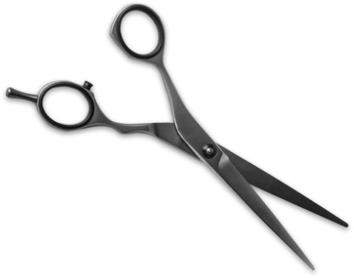 Hair Scissors